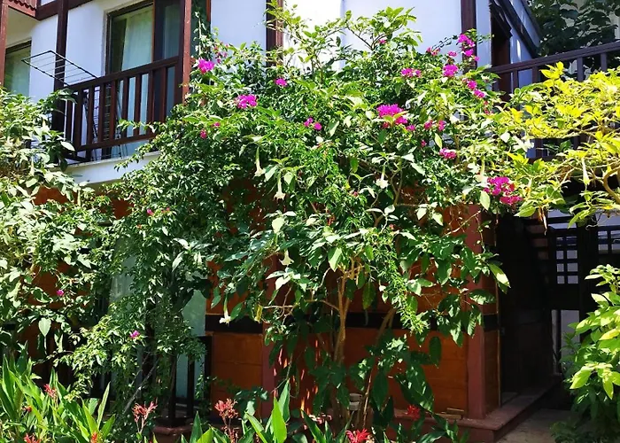 Lykia Edrassa 3* Adrasan